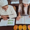 Stem-навчання на заняттях предмета "Біологія і екологія"