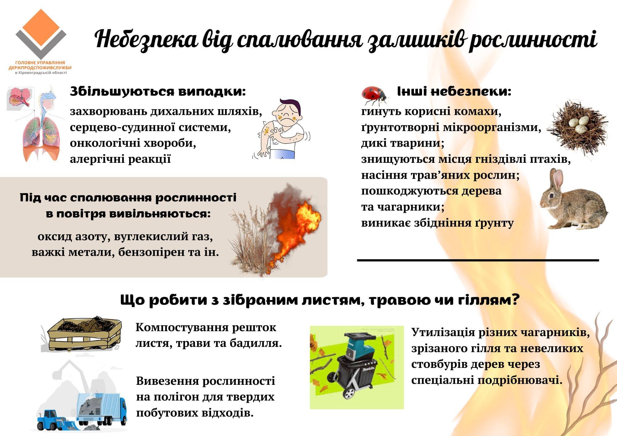 ВЕСНЯНИЙ БЛАГОУСТРІЙ - НЕ ПРИВІД СПАЛЮВАТИ ЗАЛИШКИ РОСЛИННОСТІ Image